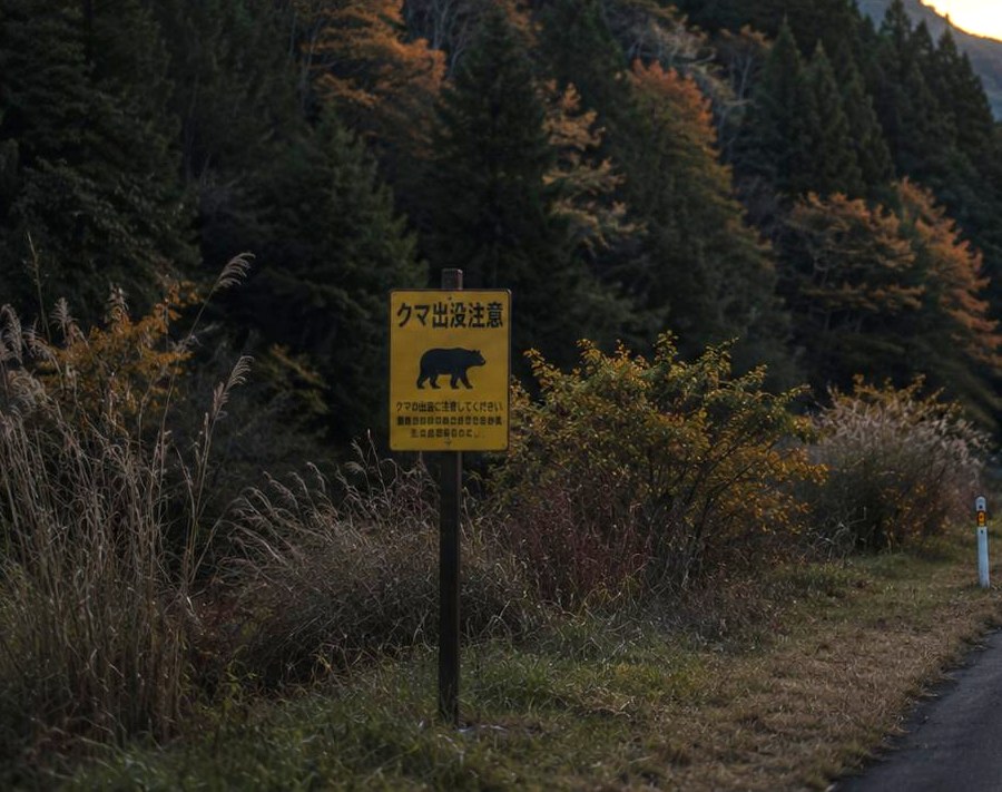 夕暮れの山道に立つ「クマ出没注意」の看板