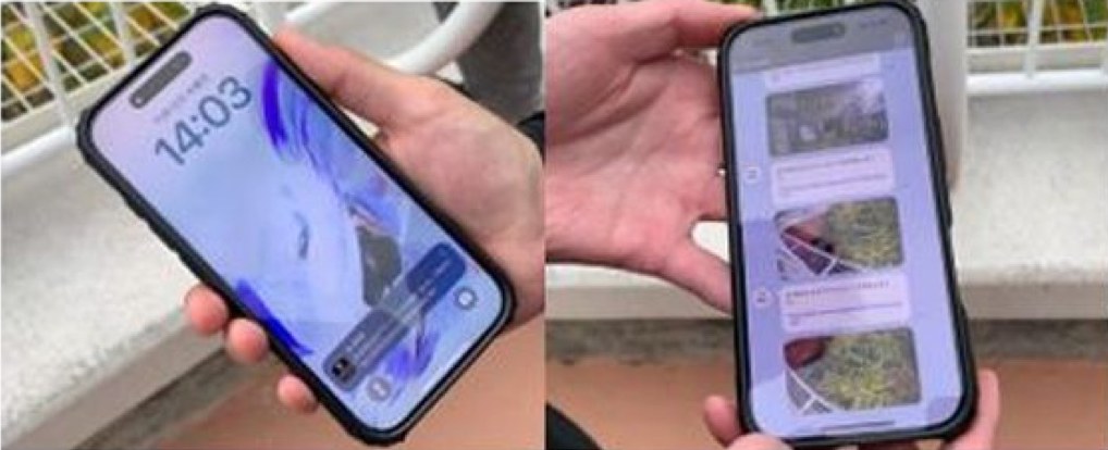 スマホのロック画面と通知一覧に、熊を検知した写真付きの通知が届いている様子